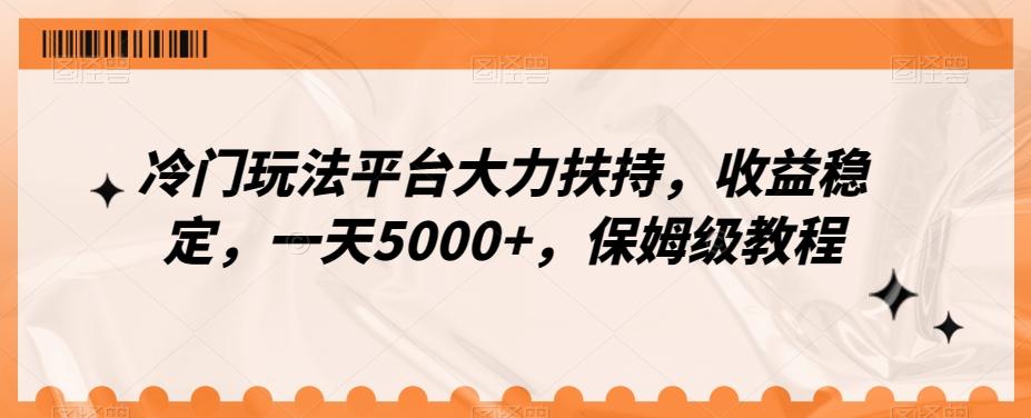 冷门玩法平台大力扶持，收益稳定，一天5000+，保姆级教程（附抖音7天起号法）-点子口袋网