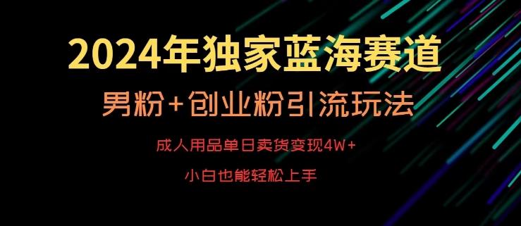 2024年独家蓝海赛道，成人用品单日卖货变现4W+，男粉+创业粉引流玩法，不愁搞不到流量【揭秘】-点子口袋网