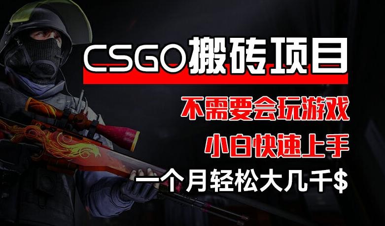 CSGO 装备搬砖项目，操作简单，不需要会玩游戏，小白也能快速上手，一个月轻松大几千【揭秘】-点子口袋网