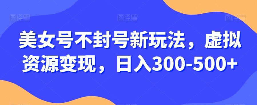 美女号不封号新玩法，虚拟资源变现，日入300-500+-点子口袋网