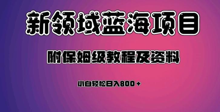 虚拟资源蓝海领域新项目，轻松日入800＋，附保姆级教程及资料-云创网