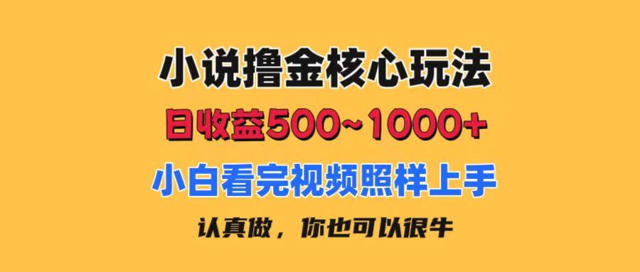 小说撸金核心玩法，日收益500-1000+，小白看完照样上手，0成本有手就行-点子口袋网