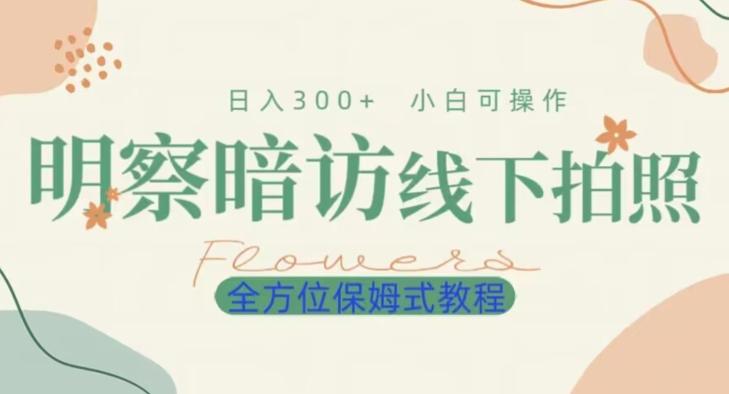 明拍暗拍项目0成本投入日入300+小白可操作保姆式全方位教程-云创网