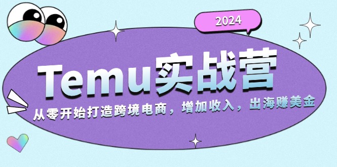 2024Temu实战营：从零开始打造跨境电商，增加收入，出海赚美金-点子口袋网