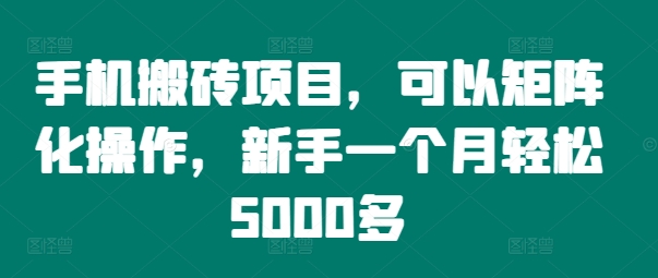 手机搬砖项目，可以矩阵化操作，新手一个月轻松5000多-点子口袋网