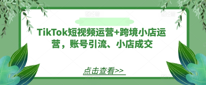 TikTok短视频运营+跨境小店运营，账号引流、小店成交-点子口袋网