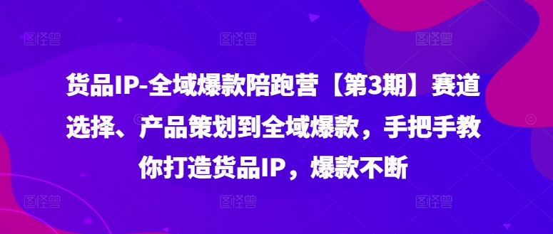 货品IP全域爆款陪跑营【第3期】赛道选择、产品策划到全域爆款，手把手教你打造货品IP，爆款不断-点子口袋网