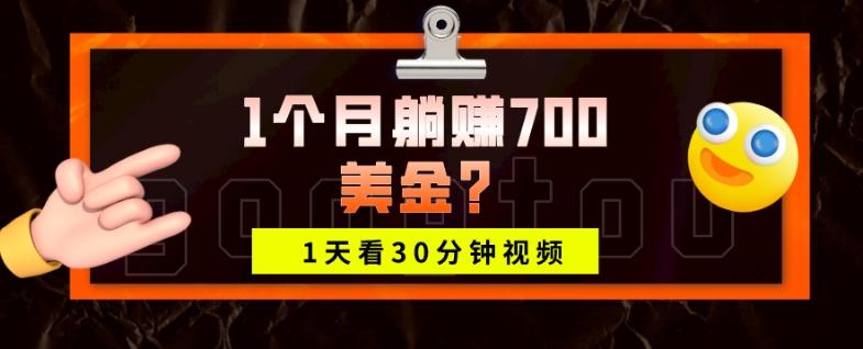 1天看30分钟视频，1个月躺赚700美金？-点子口袋网