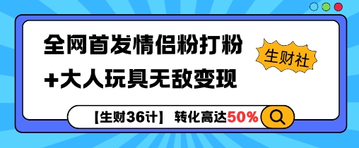 【生财36计】全网首发情侣粉打粉+大人玩具无敌变现-点子口袋网