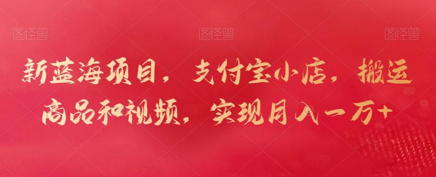 新蓝海项目，支付宝小店，搬运商品和视频，实现月入一万+【揭秘】-点子口袋网
