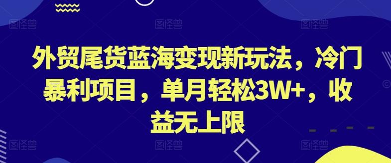 外贸尾货蓝海变现新玩法，冷门暴利项目，单月轻松3W+，收益无上限【揭秘】-点子口袋网