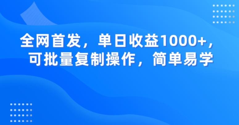 全网首发，单日收益1000+，可批量复制操作，简单易学【揭秘】-点子口袋网