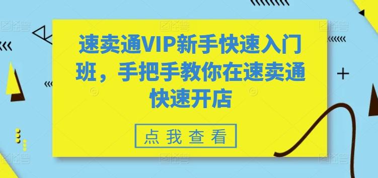 速卖通VIP新手快速入门班，手把手教你在速卖通快速开店-点子口袋网