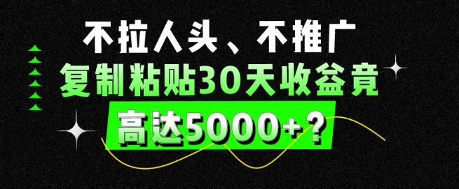 不拉人头、不推广，复制粘贴30天收益竟高达5000+？-点子口袋网
