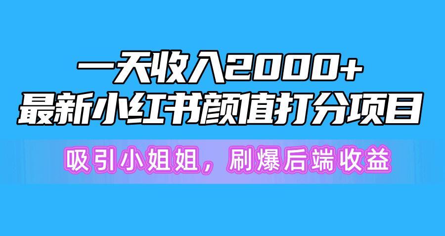 一天收入2000+，最新小红书颜值打分项目，吸引小姐姐，刷爆后端收益-点子口袋网