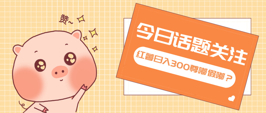 全新红薯浏览，打破常规 双端操作，每天运行6小时，让你获得工作以外的...-点子口袋网