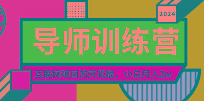 《导师训练营》精准粉丝引流的天花板，小白月入2w-点子口袋网