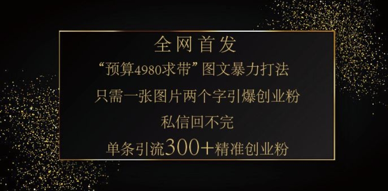 小红书神奇图片引流法，只需一张图，就能单条笔记凭借此方法，轻松引流 300 + 精准创业粉-点子口袋网