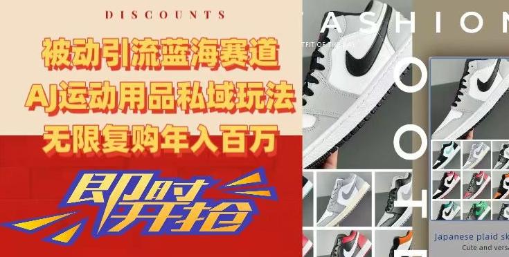 被动引流蓝海赛道，AJ运动用品私域玩法，无限复购年入百万【揭秘】-点子口袋网