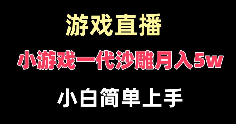 玩小游戏一代沙雕月入5w，爆裂变现，快速拿结果，高级保姆式教学【揭秘】-点子口袋网