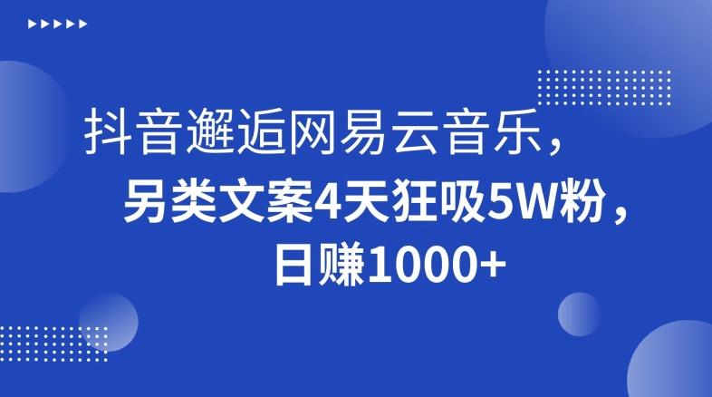 抖音邂逅网易云音乐，另类文案4天狂吸5W粉，日赚1000+【揭秘】-点子口袋网