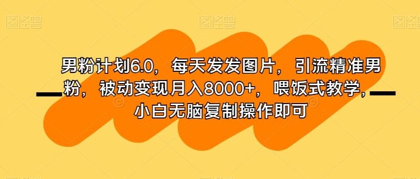 男粉计划6.0，每天发发图片，引流精准男粉，被动变现月入8000+，喂饭式教学，小白无脑复制操作即可-点子口袋网