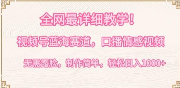 全网最详细教学，视频号蓝海赛道，口播情感视频，无需露脸，制作简单，轻松实现日入1000+【揭秘】-点子口袋网