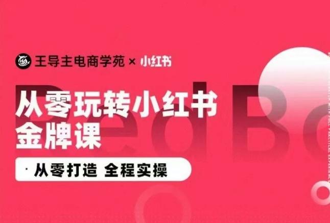 王导主·小红书电商运营实操课，​从零打造  全程实操-点子口袋网
