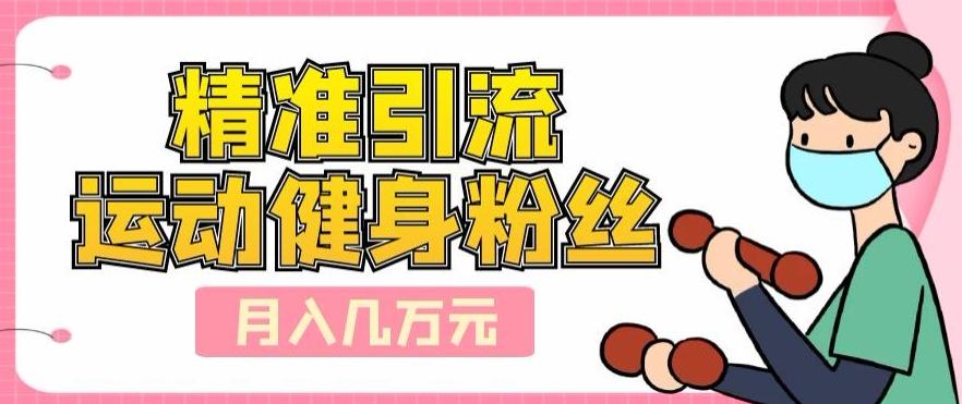精准引流运动健身粉丝，轻松月入几万-点子口袋网