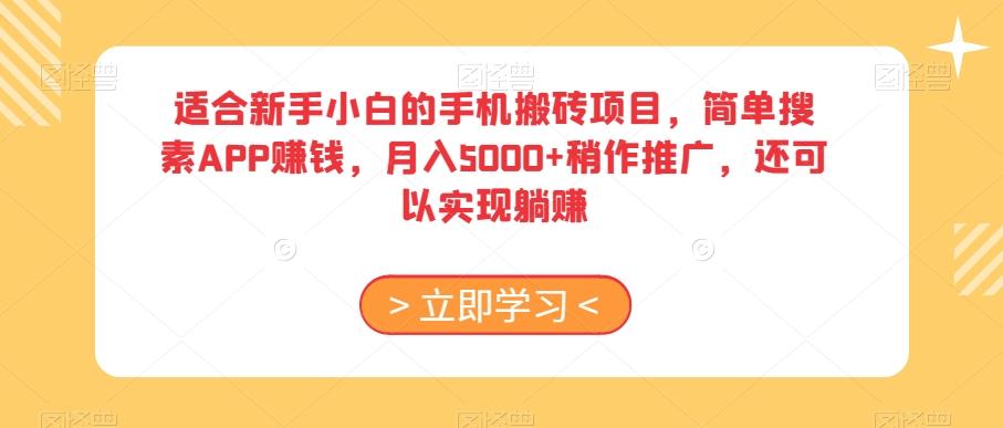 适合新手小白的手机搬砖项目，简单搜素APP赚钱，月入5000+稍作推广，还可以实现躺赚【揭秘】-点子口袋网