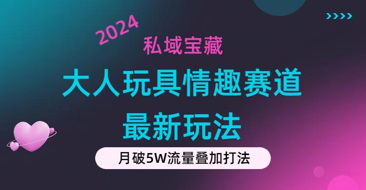 私域宝藏：大人玩具情趣赛道合规新玩法，零投入，私域超高流量成单率高-点子口袋网