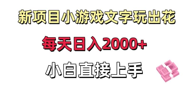 新项目小游戏文字玩出花日入2000+，每天只需一小时，小白直接上手【揭秘】-点子口袋网