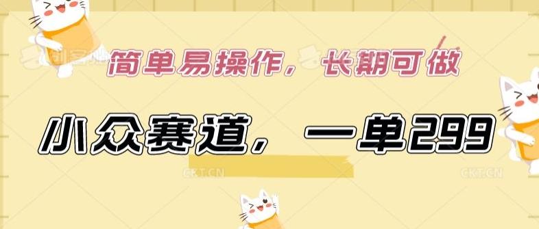 小众赛道，一单299.简单易操作，长期可做【揭秘】-点子口袋网