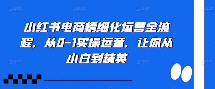 小红书电商精细化运营全流程，从0-1实操运营，让你从小白到精英-点子口袋网