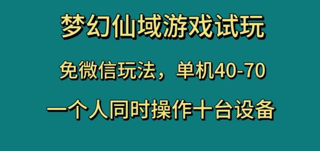 梦幻仙域游戏试玩，免微信玩法，单机40-70，一个人同时操作十台设备【揭秘】-点子口袋网