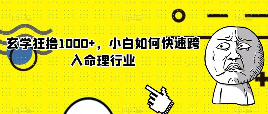 玄学狂撸1000+，小白如何快速跨入命理行业-点子口袋网