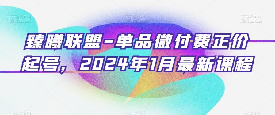臻曦联盟-单品微付费正价起号，2024年1月最新课程-点子口袋网