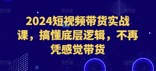 2024短视频带货实战课，搞懂底层逻辑，不再凭感觉带货-点子口袋网