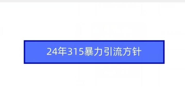 24年315暴力引流方针-点子口袋网