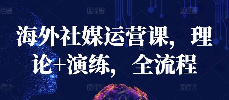 海外社媒运营课，理论+演练，全流程-云创网