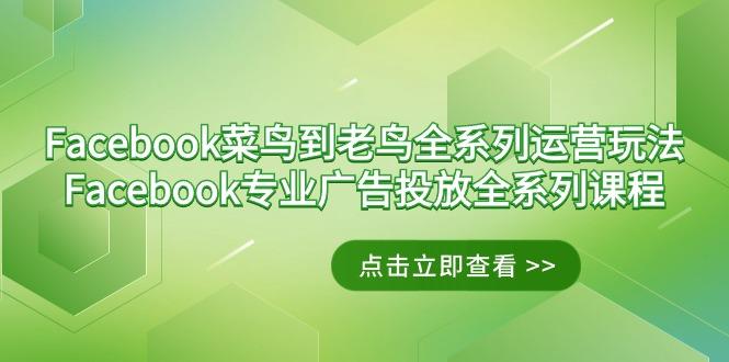 Facebook-菜鸟到老鸟全系列运营玩法+Facebook-专业广告投放全系列课程-点子口袋网