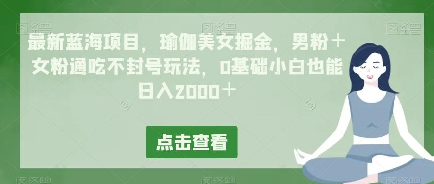 最新蓝海项目，瑜伽美女掘金，男粉＋女粉通吃不封号玩法，0基础小白也能日入2000＋-点子口袋网