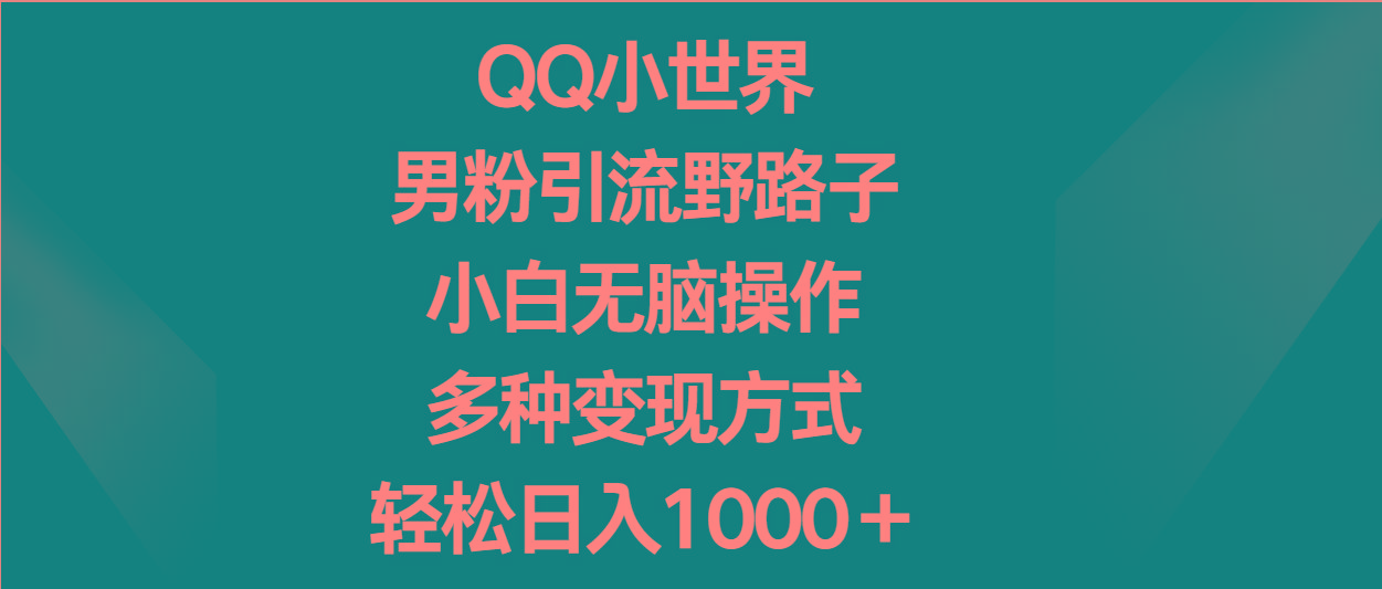 QQ小世界男粉引流野路子，小白无脑操作，多种变现方式轻松日入1000＋-点子口袋网