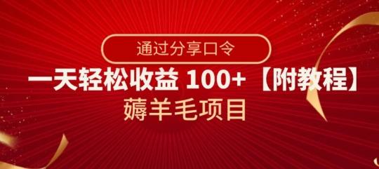 薅羊毛项目，靠分享口令，一天轻松收益100+【附教程】【揭秘】-点子口袋网
