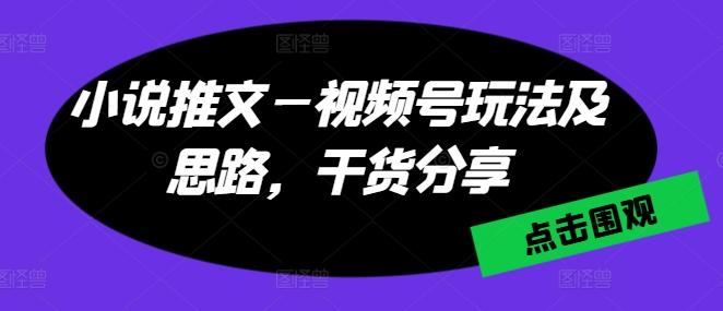 小说推文—视频号玩法及思路，干货分享-点子口袋网