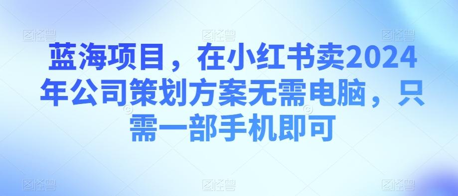 蓝海项目，在小红书卖2024年公司策划方案无需电脑，只需一部手机即可-点子口袋网