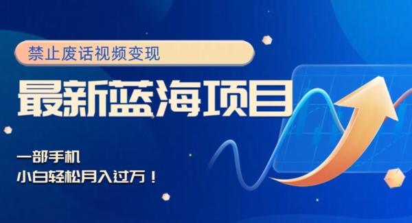 最新蓝海项目，靠禁止废话视频变现，一部手机，小白轻松月入过万！-点子口袋网
