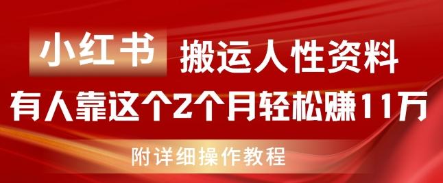 小红书搬运人性资料，有人靠这个2个月轻松赚11w，附教程【揭秘】-点子口袋网
