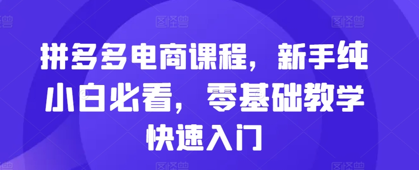拼多多电商课程，新手纯小白必看，零基础教学快速入门-点子口袋网
