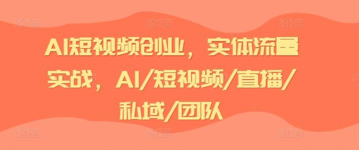 AI短视频创业，实体流量实战，AI/短视频/直播/私域/团队-点子口袋网